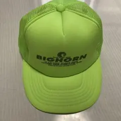 Item thumbnail for item ccbcebd4-e43c-4dfd-820e-2d87242ba4a1