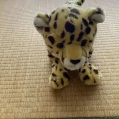 ぬいぐるみ