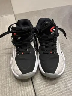 ジョーダン ルカ4 GS JORDAN LUKA4 ジュニア　23cm