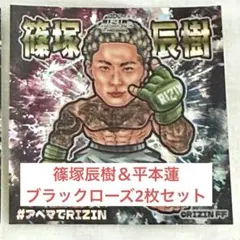 RIZIN シェイドゥラエフ シール ステッカー ビックリマン チョコ