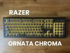 Razer ORNATA CHROMA