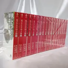 全巻初版！男どアホウ甲子園 文庫版 全18巻セット 水島新司 佐々木守