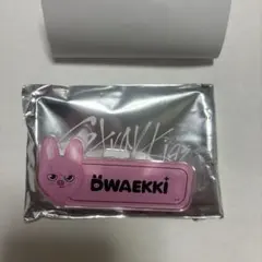 トゥエッキ　チャンビン　ネームバッチ　5star stray kids