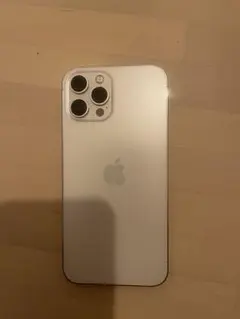 香港版 SIMフリー iPhone 12 Pro Max 256GB