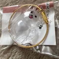 愛犬 毛玉ケース わんこのタイムカプセル プライズ