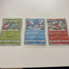 フシギダネ ヒトカゲ ゼニガメ プロモセットのサムネイル