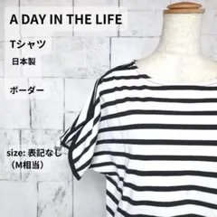 A DAY IN THE LIFE Tシャツ M ボーダー 日本製