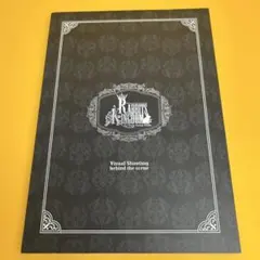 Rabbits kingdom visual shooting behind