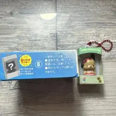 ポチャッコ チョコボックス キーホルダー