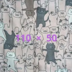 Item thumbnail for item b03d16e0-6b12-45b1-a3b7-ece9f98143a2