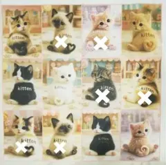 Item thumbnail for item 505739d5-fc19-42e2-b543-affe50645cb6