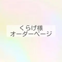 チ宏様オーダーページ② - メルカリ