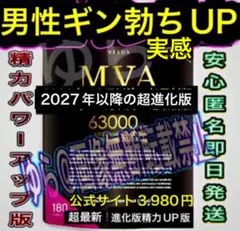ガチ勃ち男性増大サプリ❤️精力増強剤高配合アルギニンシトルリン高麗人参すっぽんのサムネイル