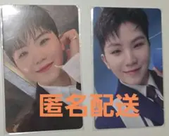 SEVENTEEN DREAM 会場限定 ウジ