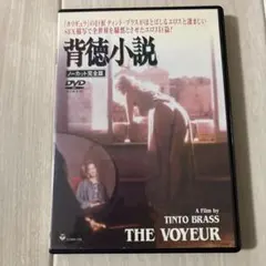 THE VOYEUR 背徳小説 DVD ティント・ブラス監督