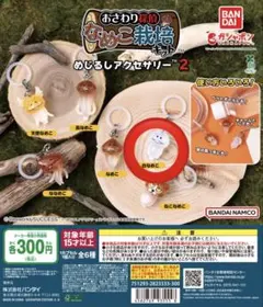 【新品未使用】なめこ栽培キット めじるしアクセサリー2 白なめこ2個セット
