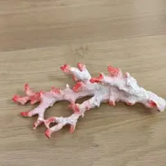 Item thumbnail for item 42df1900-adfb-4bec-b7e4-bb8d699739c1