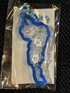 値下げ中】琵琶湖キーホルダー 琵琶湖バレイ限定 ピンク チェーン