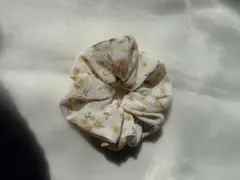 Item thumbnail for item 888d1cbb-6409-4ab3-8b46-7a3ca24eeba8