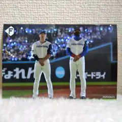 北海道日本ハムファイターズ　ハイライトフォト　松本剛　新庄剛志監督