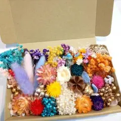 ✿花材詰め合わせ/ドライフラワー.プリザーブドフラワー /⑻