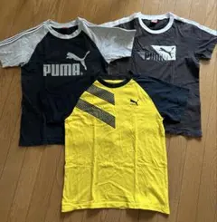 PUMA Tシャツ 3枚セット　150