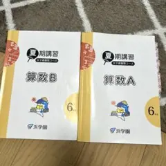 2026年最新】浜学園 小6の人気アイテム - メルカリ