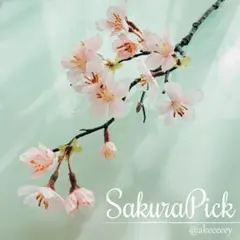 pandapan様 リクエスト 2点 まとめ商品