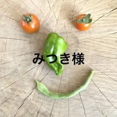 みつき様 リクエスト 4点 まとめ商品