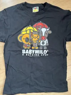 Item thumbnail for item 146dc19a-1082-4162-b362-53a415b8a518