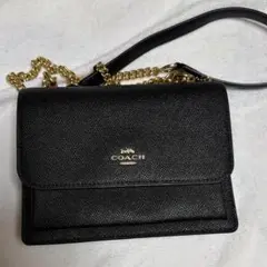新品未使用】COACHレザーショルダー/クラッチ2WAYバッグCAT21BK - メルカリ