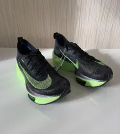 Item thumbnail for item 10d55e88-bd9e-438c-bcf5-0784a7416ec4