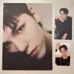 セブチ シーグリ 2024 バーノン