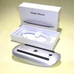 Magic Mouse MK2E3J/A 編込USB-C cable 在中