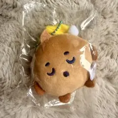 BT21 Fuwa Fuwa Mascot★3 SHOOKY マスコット
