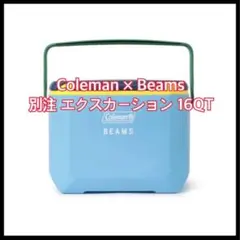 BEAMS オリジナルトランクカーゴ 30L 限定 収納ボックス キャンプ