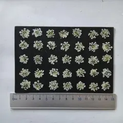 ave mr様　専用ページ