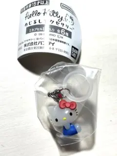 ハローキティ　めじるしアクセサリー　スタンダード