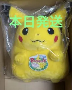 ポケモン 30周年記念 おかえり!ピカチュウ1/1