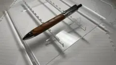 Item thumbnail for item 51f6139a-695f-404a-afee-9a2ff50971d8