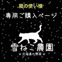 風の使い様リクエスト商品ページ（北あかり×インカのめざめ　各２個）