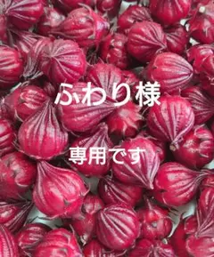 ローゼルの種50粒以上　九条太ネギの種500粒以上　花オクラの種100粒以上