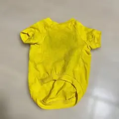 Item thumbnail for item d945fac7-f1b9-4a2f-a57a-9bcd3a5469dc