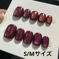 【セツ】マグネット　ネイルチップ　付け爪(A1459)