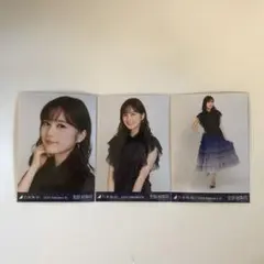 乃木坂46 生田絵梨花 生写真 コンプ