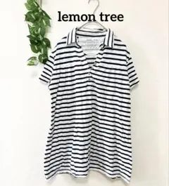 【lemon tree】 ボーダー柄 襟付き半袖チュニック ネイビー×ホワイトのサムネイル