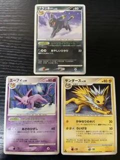 DP ブイズ3枚セット ブラッキー エーフィ サンダース まとめ売り