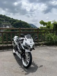 【商談中】ns-1 74cc CBRカウル