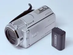 2025年最新】hdr cx500の人気アイテム - メルカリ