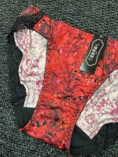 Item thumbnail for item 27f08103-c8de-4b25-bf40-0c9ff99551e4